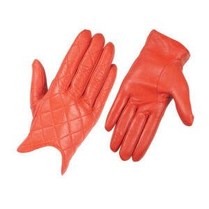 Dressing Gloves
