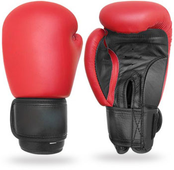 Boxing Gloves 1 Boxing Gloves