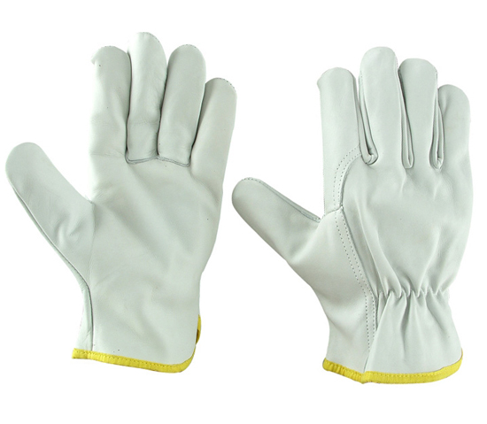 Driver Gloves 1 Driver Gloves
