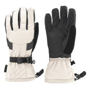 Ski Gloves