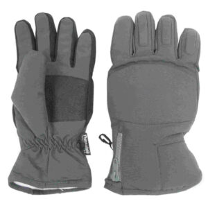 Ski Gloves