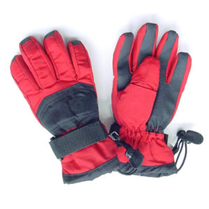 Ski Gloves