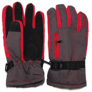 Ski Gloves